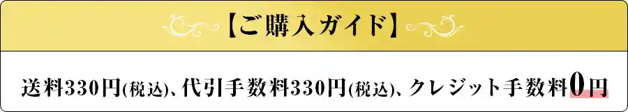 DelaFierteの購入ガイド送料330円代引手数料330円クレジット手数料無料