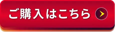 通常価格10,000円相当 1,000円