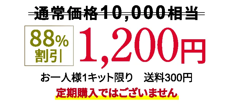 通常価格10,000円相当 88%割引1,200円 お一人様1キット限り 送料300円 定期購入ではございません