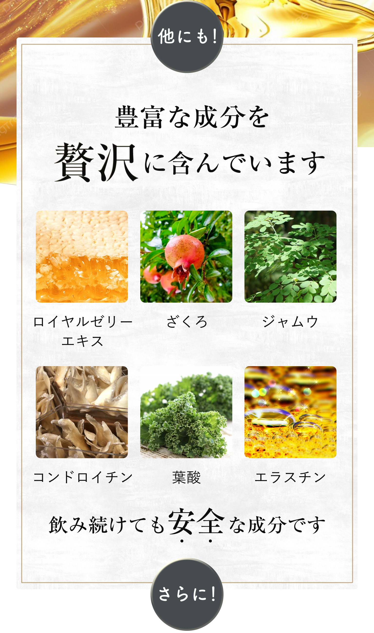 豊富な成分を贅沢に含んでいます
