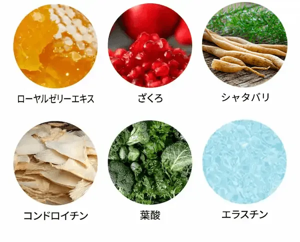 ローヤルゼリーエキス ざくろ シャタバリ コンドロイチン 葉酸 エラスチン