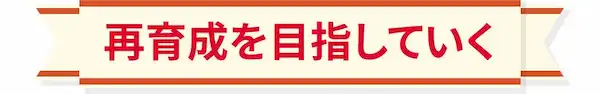 バストを大きくするために再育成を目指していくバストアップ法