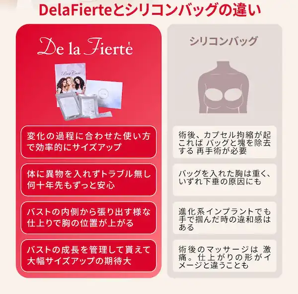 DelaFierteとシリコンバッグの違い